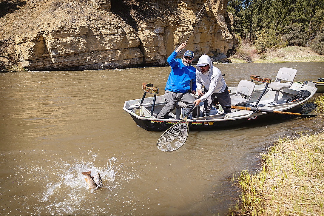 Netting a trout on a guided fly fishing trip near Missoula Montana