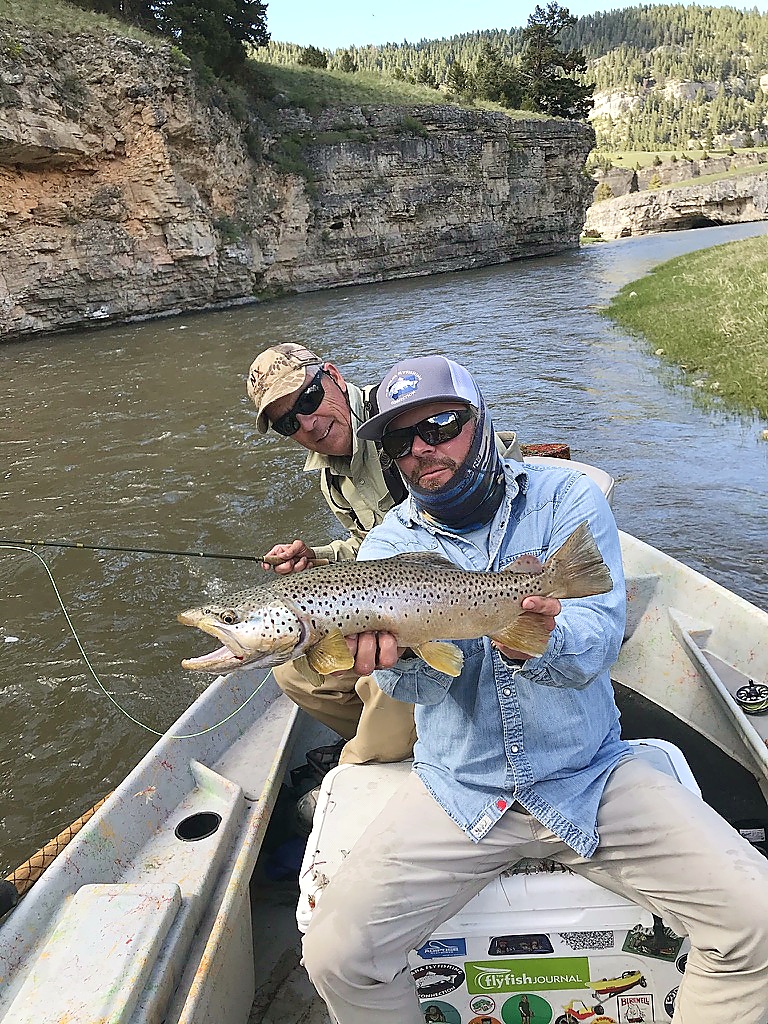 Large brown trout from the Blackfoot River canyon Montana fly fishing