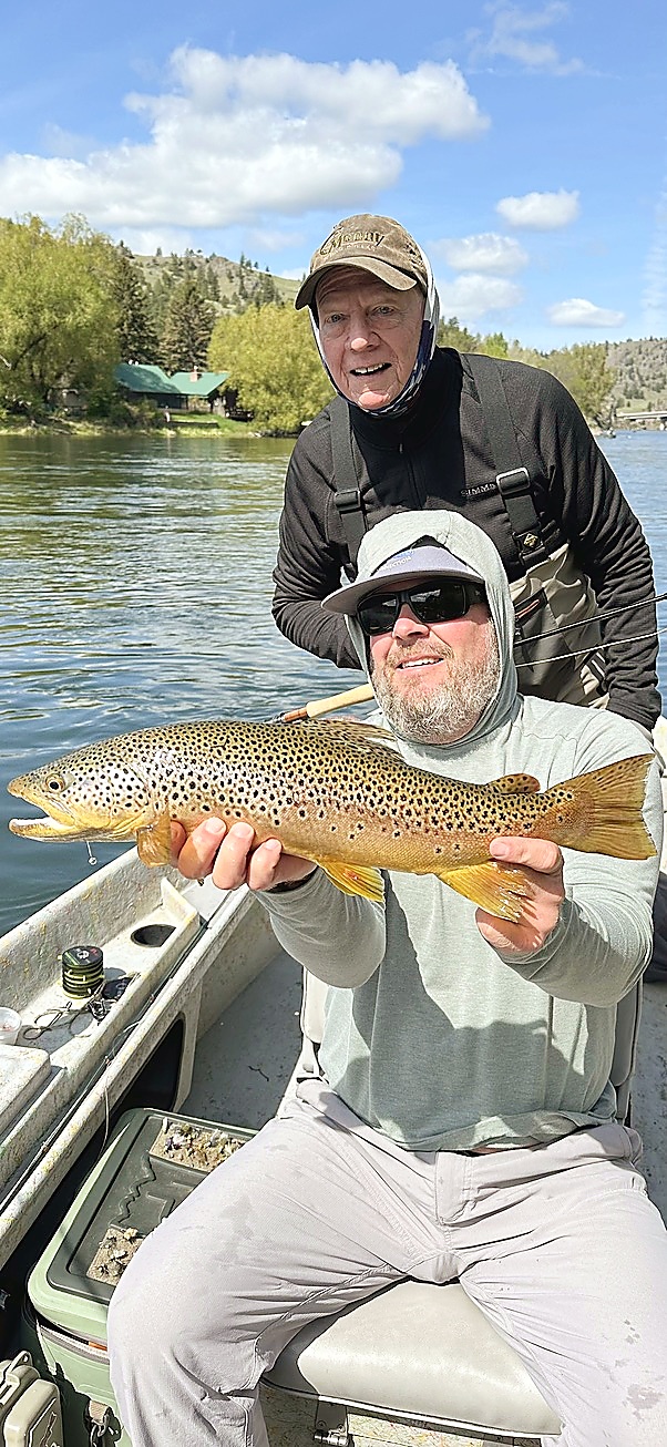 Large brown trout caught on the Missouri River near Craig Montana