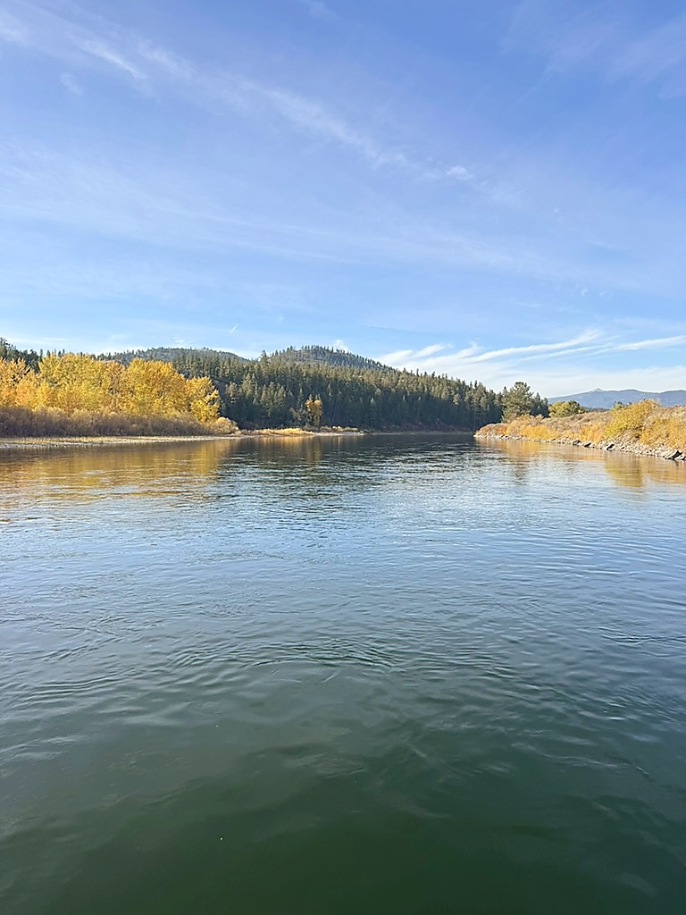 Scenic fall fly fishing river in western Montana near Missoula